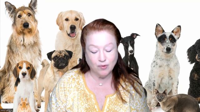 Communicating with Your Pets in the Afterlife смотреть онлайн