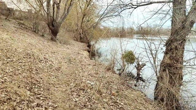 месяц март. Прогулка на берегу реки Припять. смотреть онлайн