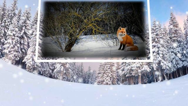 Лес март 2024