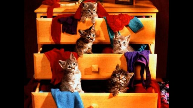 Уроки вокала для детей онлайн. Восклицательная и Вопросительная Интонация. смотреть онлайн