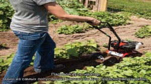 Как использовать культиватор в саду: совмещаем несколько инструментов