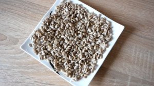 Быстро и просто прорастить семечки Подсолнечника