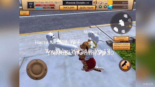 Встречаю своих подписчиков в игре cat simulator animal life(симулятор кота жизнь животных) смотреть онлайн