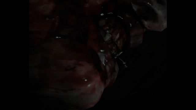 Прохождение Resident Evil 6 по сети на сложности "Новичок". смотреть онлайн