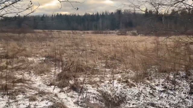 Участок 2га Продам Лен Обл смотреть онлайн