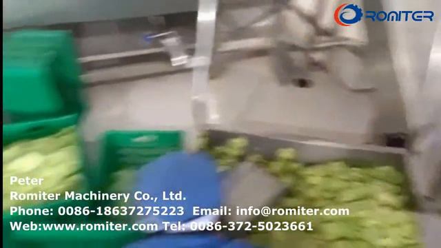 Автоматическая установка для мытья, очистки, нарезки, бланширования и сушки киви на продажу смотреть онлайн