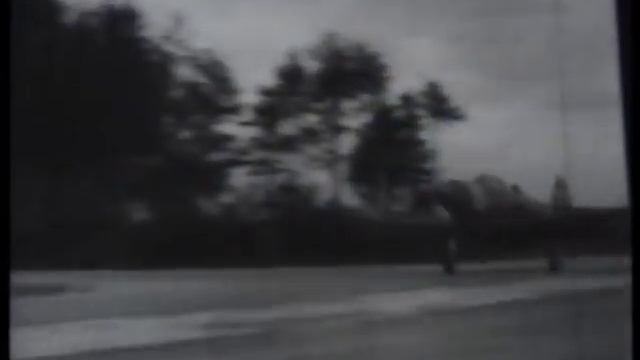 Александр Покрышкин (1945)