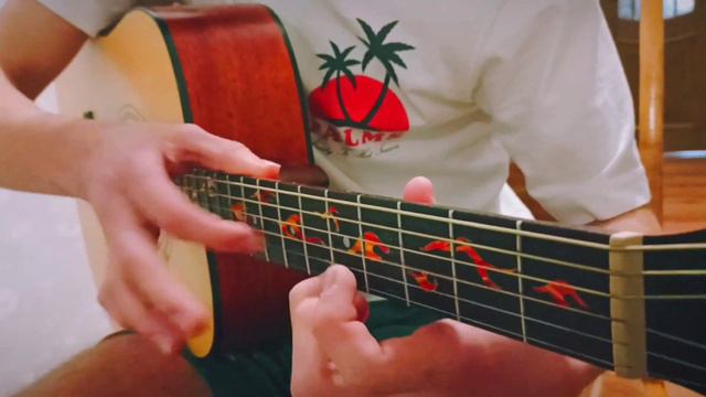 Crow - Jin san Kim | Fingerstyle Guitar Cover смотреть онлайн