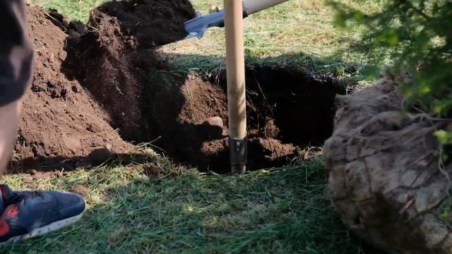 4 Власть от 10,06,23 смотреть онлайн