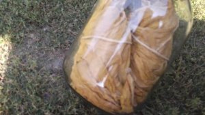 ферментация табака на солнце