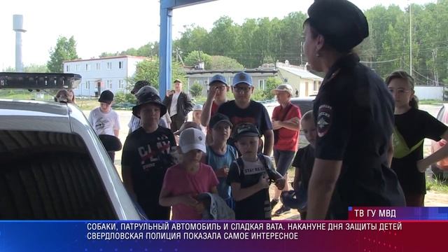 Детям показали служебных собак