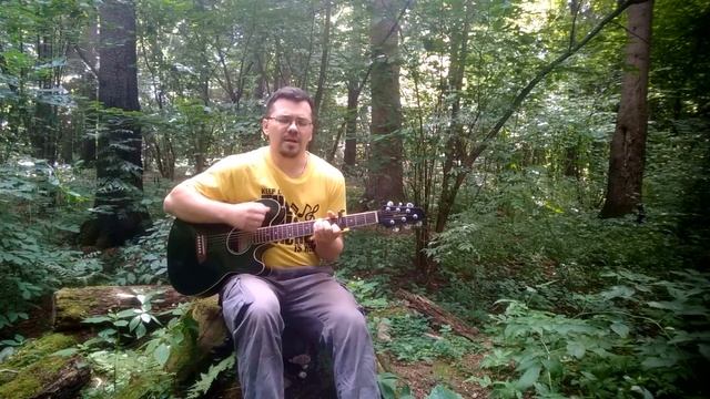 Animal ДжаZ - Стереолюбовь (акустический кавер в лесу) смотреть онлайн