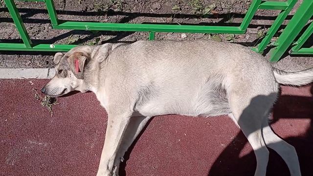 Геническ микрорайон детская площадка смотреть онлайн