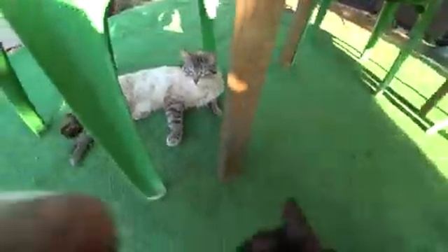 БРИГАДИР РЕМОНТ ОДОБРИЛ! 5 ЧАСОВ УТРА НА НАШЕМ УЧАСТКЕ. Наш дом в станице Динская смотреть онлайн