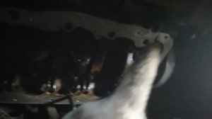 Замена прокладки поддона(картера) OPEL CORSA D 2008 1.4 AT своими руками ????