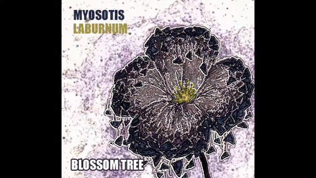 [Blue Flower Project] Blossom Tree - Myosotis смотреть онлайн