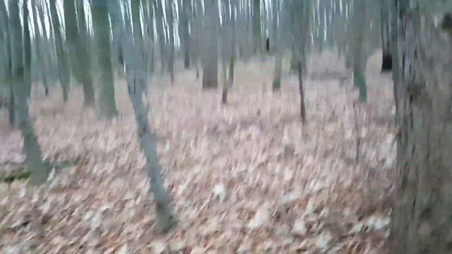 [Entry#14] SLENDERMAN SIGHTING CAUGHT ON TAPE 2016 !!! смотреть онлайн