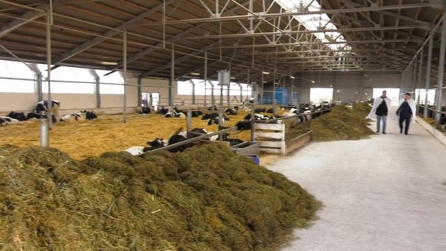 Животноводство на контроле смотреть онлайн