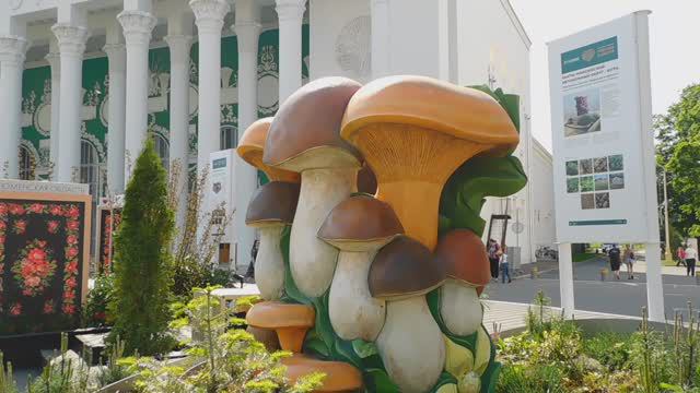 Фестиваль «Будущее в цветах» на ВДНХ (29.05.2024) смотреть онлайн