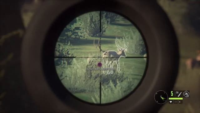 Аксис Бриллиант |Лучшее из Парк Фернандо |the Hunter Call of the Wild смотреть онлайн