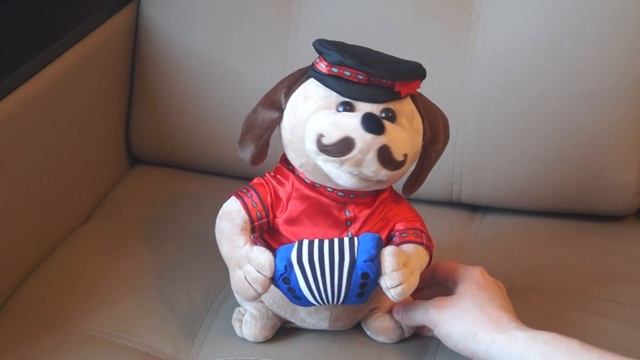 собака с баяном в красной рубашке, поющая 6 песен inmagig.ru смотреть онлайн