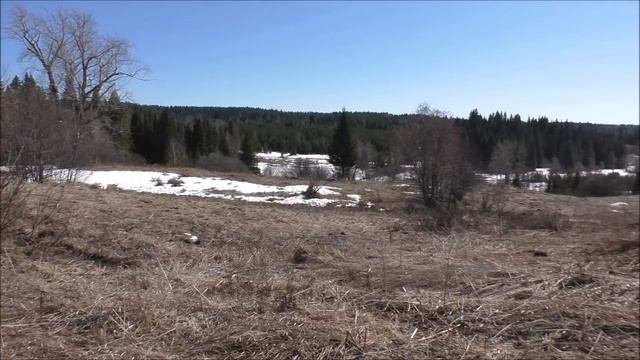 Весенний поход с металлоискателем в старинное урочище. №174 смотреть онлайн