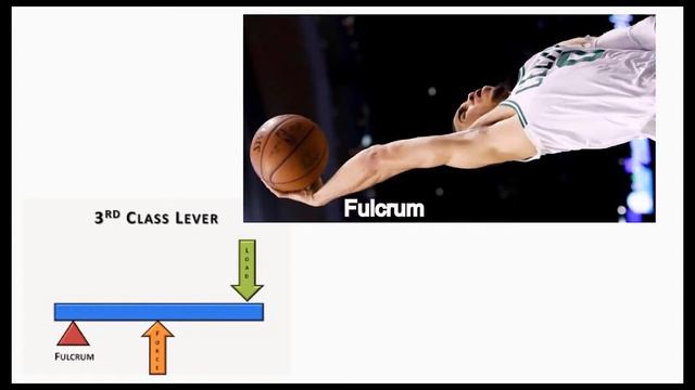 Total Body Movement Analysis - Basketball Dunk смотреть онлайн