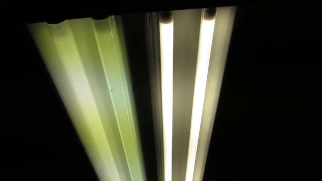 Video Review of Feit Electric 937743 LED 4 ft fluorescent tube replacements смотреть онлайн