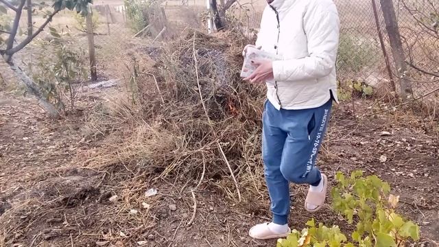 Осенняя работа на огороде смотреть онлайн