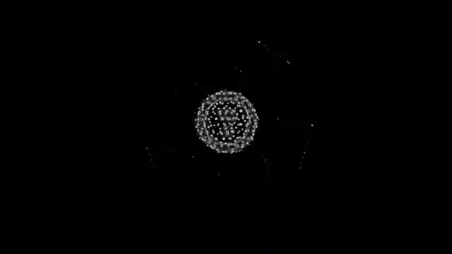 Electric Dog - Tech NO