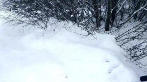 Самодельный трактор из мотоблока своими руками