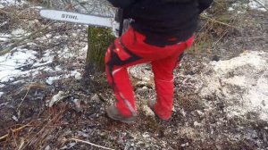 Playing with Stihl ms 880