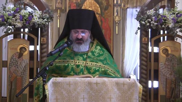 Проповедь на Литургии 15 01 2021 иером. Иоанн (Гуайта) смотреть онлайн