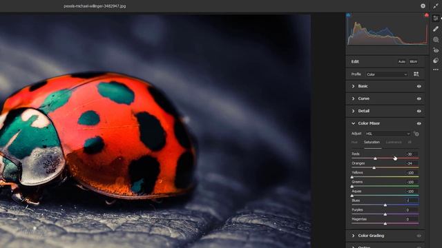 Professionally Edit Macro Photos | Camera Raw Filter | Color Grading | Photoshop Tutorial смотреть онлайн