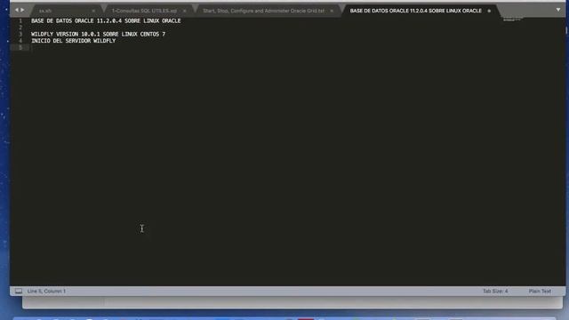 Laboratorio2 - WildFly10.1.1 Oracle Database 11.2.0.4 смотреть онлайн