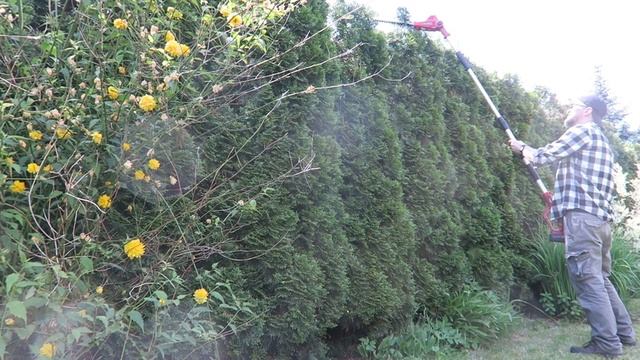 10 przydatnych narzędzi ogrodowych akumulatorowych CEDRUS смотреть онлайн