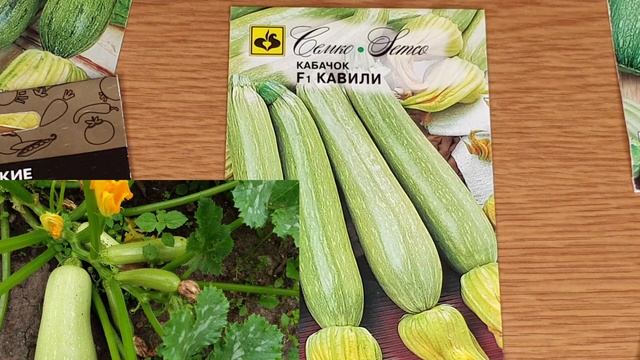 Места мало, а урожай центнерами. Очень большой урожай. Кустовые кабачки. Обзор лучших. смотреть онлайн