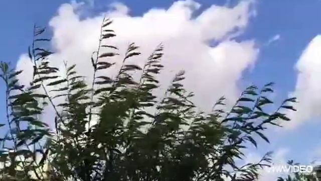 ♥️??И всюду Ты , Ты , Ты...♥️ Только Ты , Ты , Ты... А я рядом с тобой , Ангел мой !♥️?? смотреть онлайн