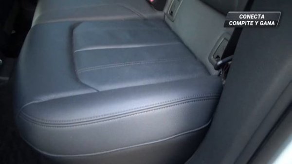 Audi / Q2 / 2019 - 5263