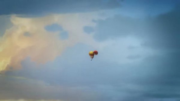 [Official] Wild wild wild world - Mini Series from Animation LARVA