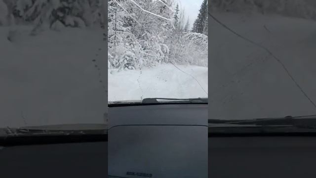 Вот почему обратно поедем по другой дороге #shorts #car #offroad #toyota #авто