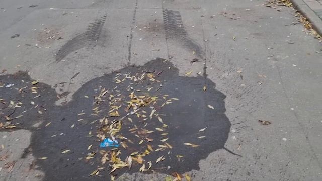 Москва, 25/10/2023. Который год наблюдаем пустую трату денег. Это не шутка. смотреть онлайн