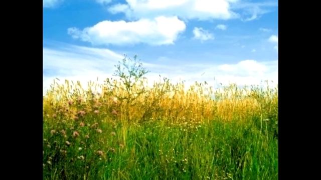 В степи молдаванской смотреть онлайн