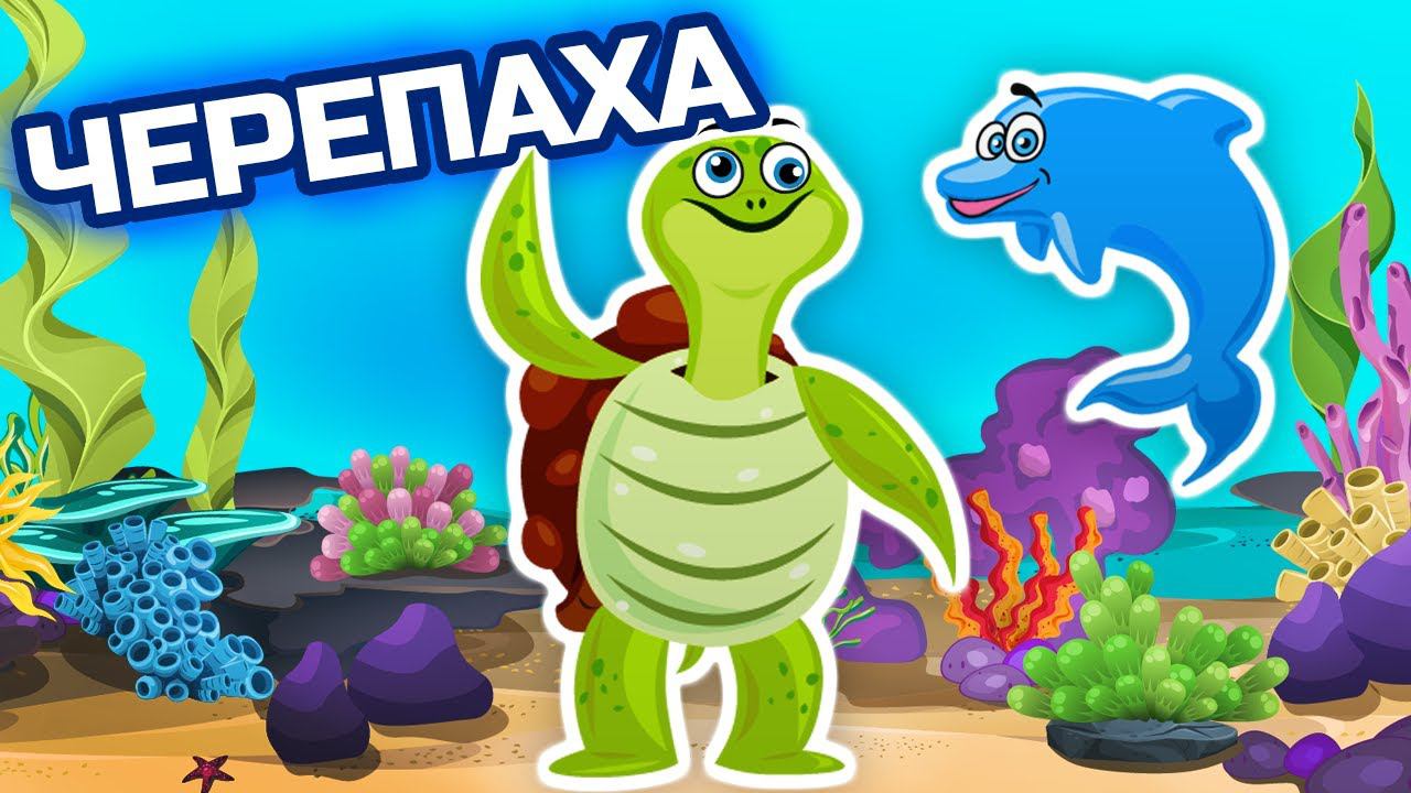 Язык какого животного понимает морская черепаха - Морские обитатели - Животные для детей смотреть онлайн