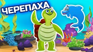 Язык какого животного понимает морская черепаха - Морские обитатели - Животные для детей