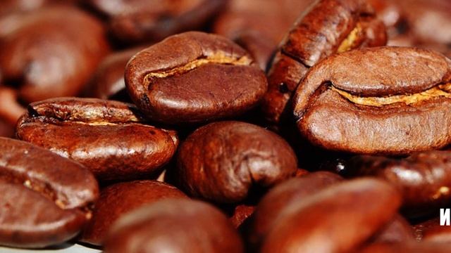 Как избавиться от запаха гари, если что-то «убежало» или сгорело на плите смотреть онлайн