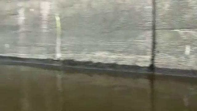 videoplayback31.mp4 смотреть онлайн