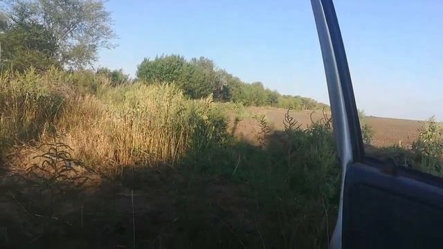 7000 т.р С МЕТАЛЛА ЗА ПОЛ ДНЯ, ЭТО РЕКОРД... Метало коп смотреть онлайн