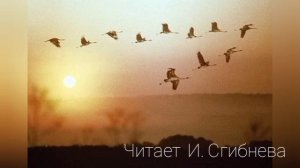 Николай Рубцов « Журавли»