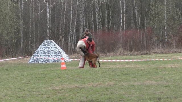 Большой Русский Ринг. 23.04.2016 г. (камера 2).